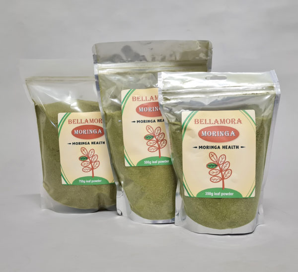 Bellamora moringa teacut leaf powder with a white background